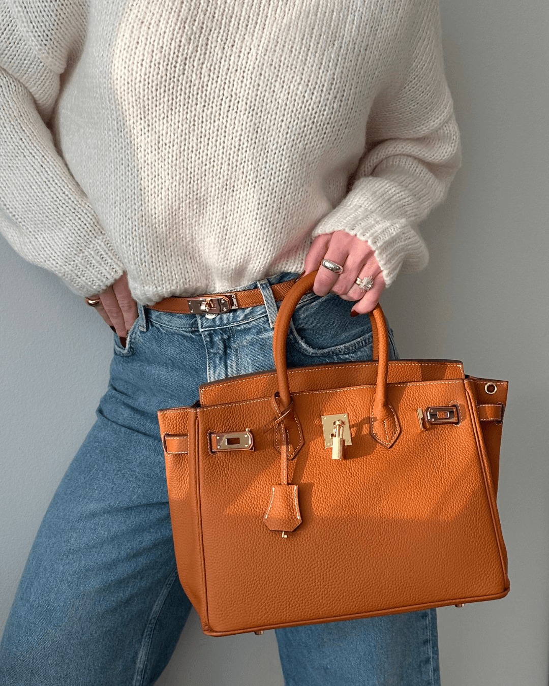 Elegant Brown Purse Liana