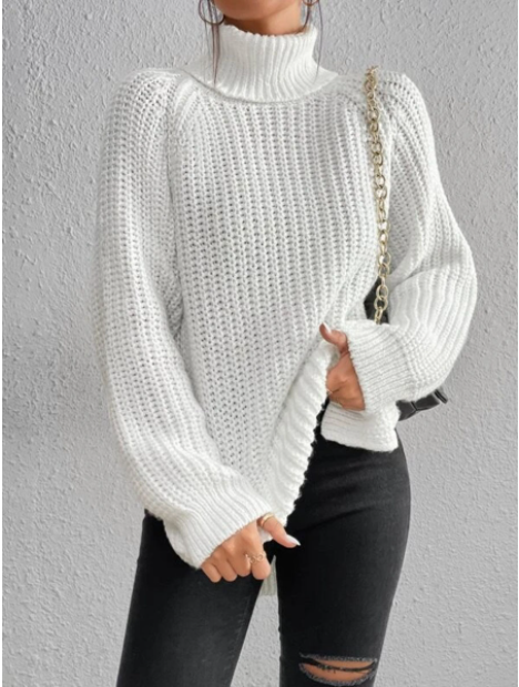 Fashionable Ladies Knit Turtleneck Jumper