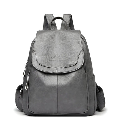 Classic Brown Ladies Backpack Bag