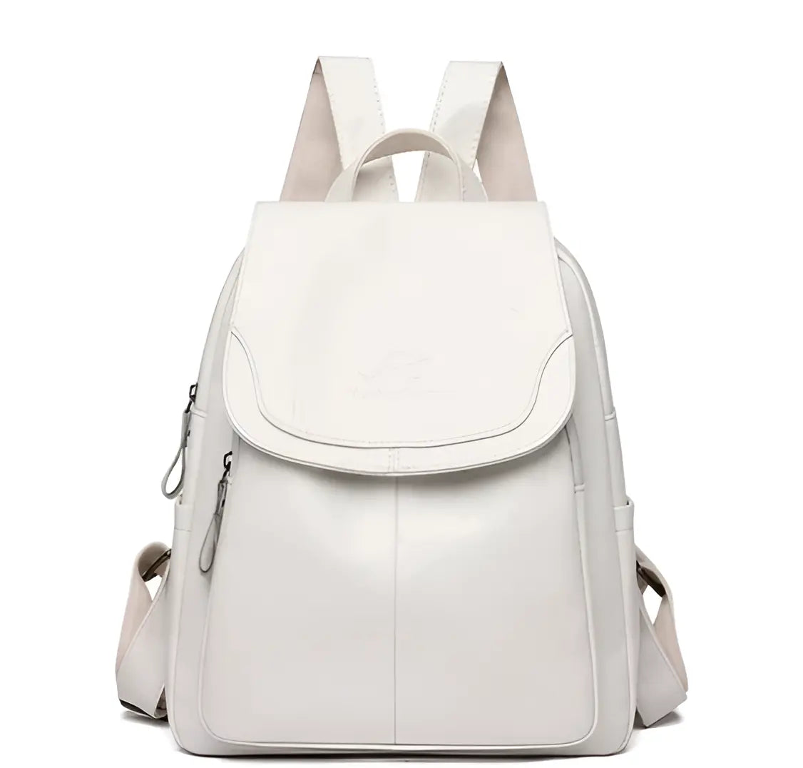 Classic Brown Ladies Backpack Bag