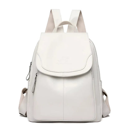 Classic Brown Ladies Backpack Bag
